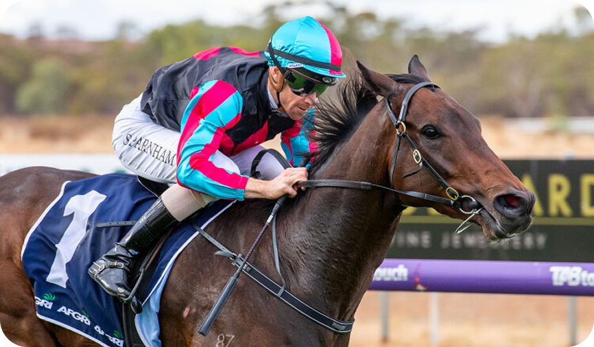Horse racing photo 13
